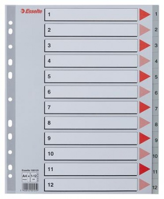 Regiszter, műanyag, A4 Maxi, 1-12, ESSELTE, szürke